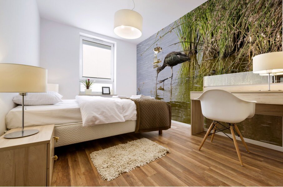 White faced Ibis Sweetwaters kenya Mural print