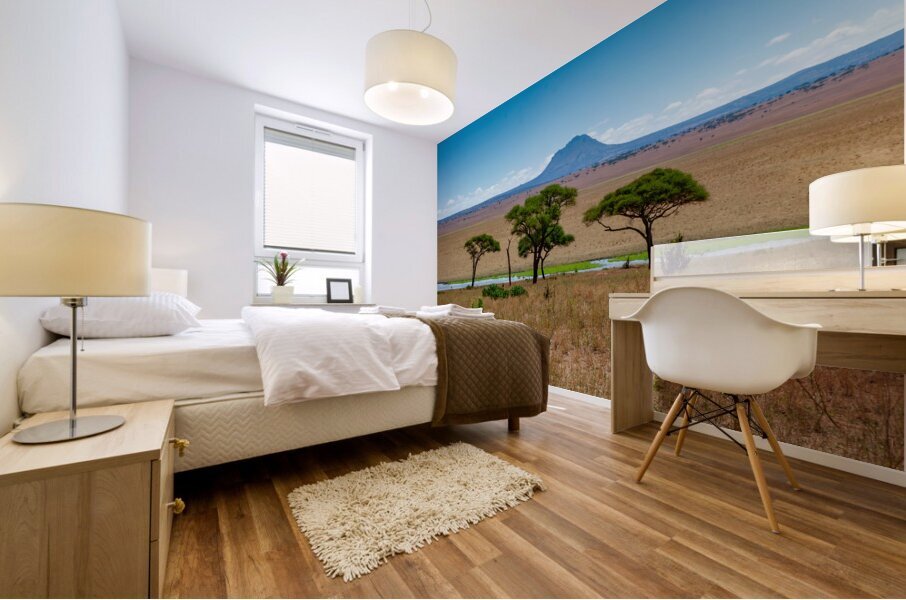Tarangire National Park Tanzania Africa Mural print