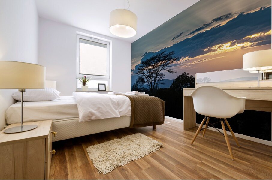 Sweetwaters Kenya Africa Mural print