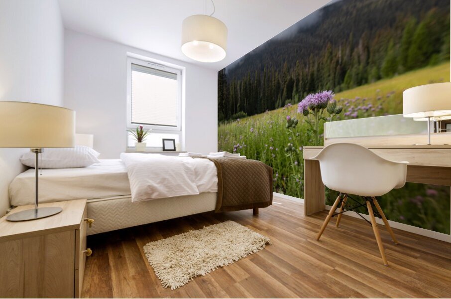 E.C Manning Provincial Park British Columbia Mural print