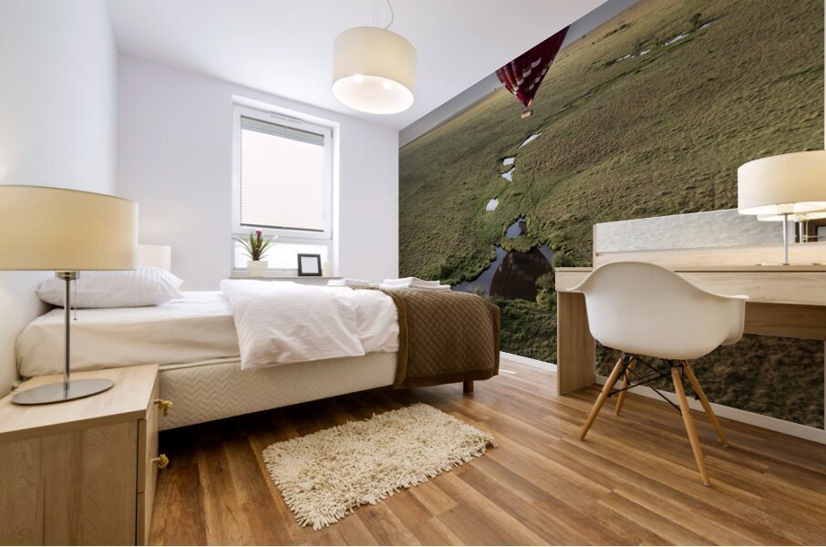  Hot air balloon Masai Mara Valley Africa Mural print