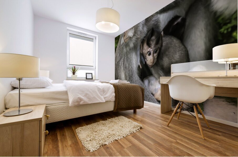 Monkey Forest Bali Mural print