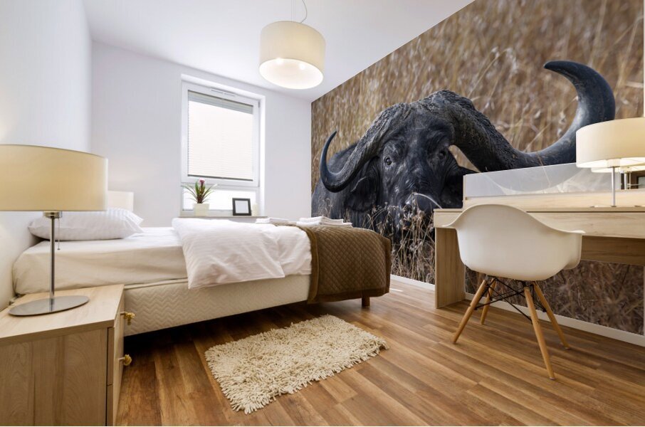 Water Buffalo Sweetwaters kenya Mural print