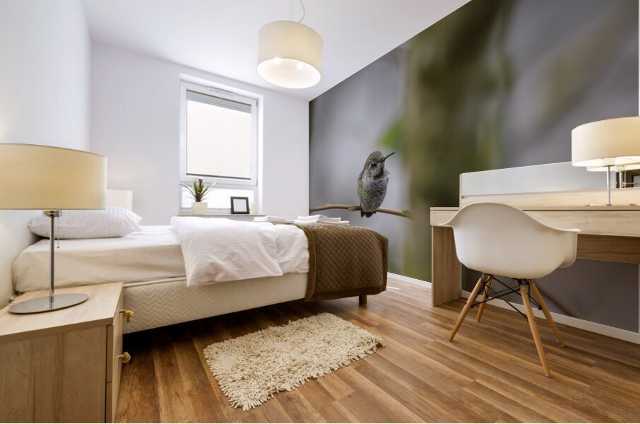 Anns Hummingbird  Fort Langley  Mural print