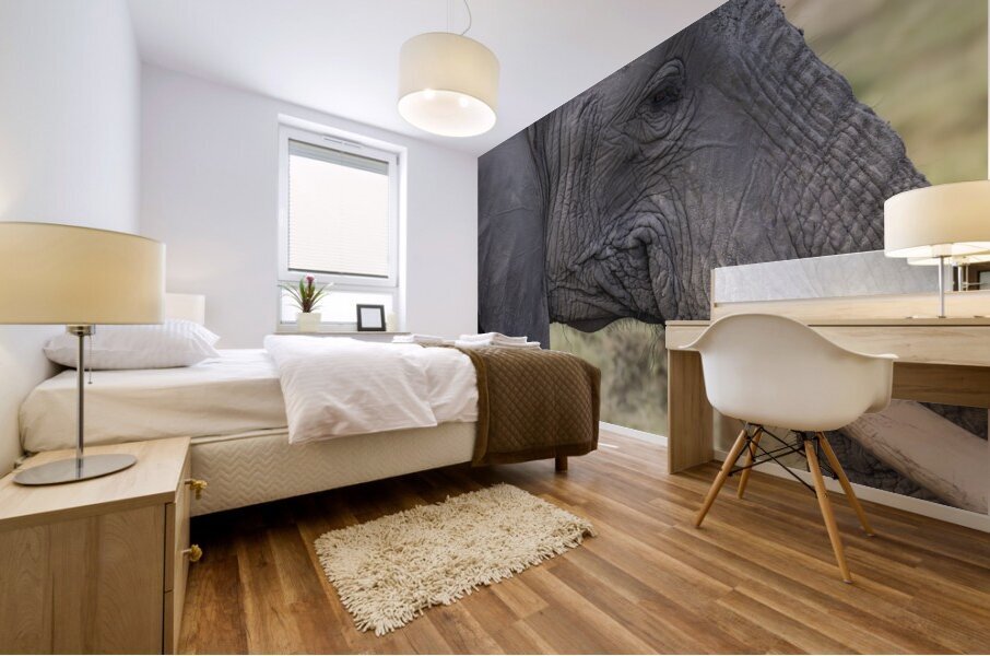 Elephant with baby Amboseli National Park Kenya  Mural print