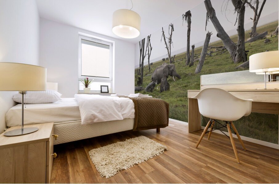 Elephant Amboseli National Park Kenya Mural print