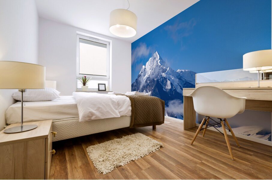 Glacier Bay Mural print