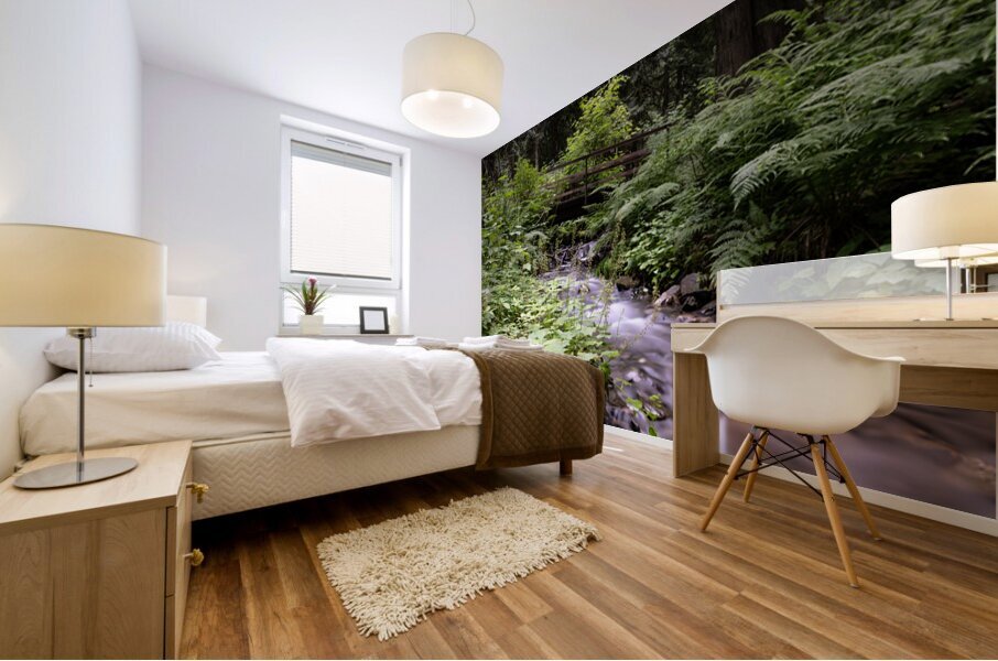 Bridal falls creek Mural print