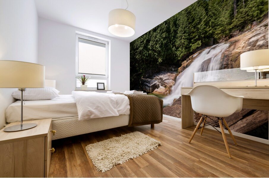 Gold Creek Falls Golden Ears Provincial Park British Columbia  Mural print
