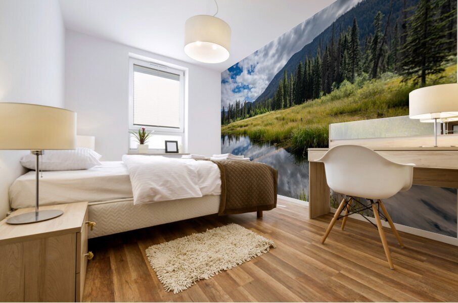 Beaver Pond E.C Manning Provincial Park British Columbia Mural print