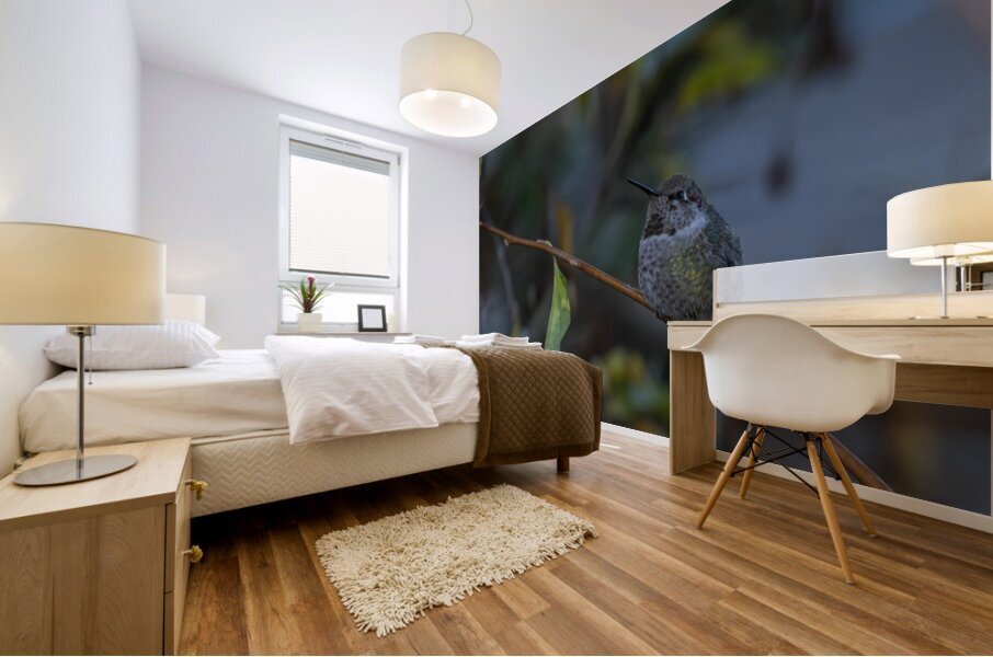 Rufous Hummingbird 3 Mural print