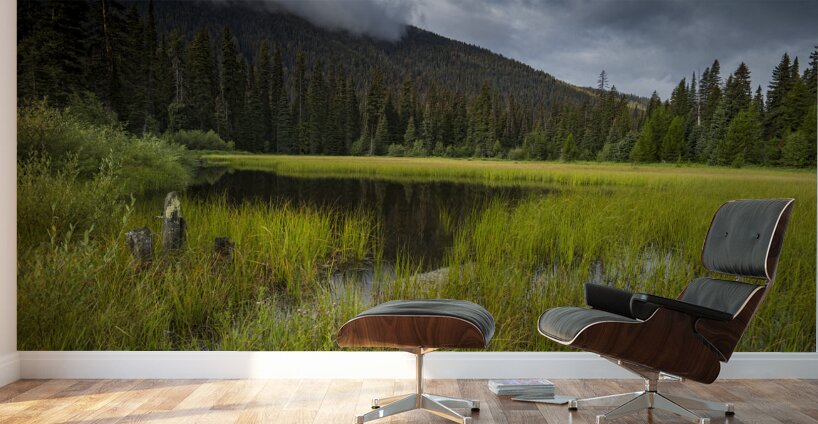 E.C Manning Provincial park British Columbia Wall Murals