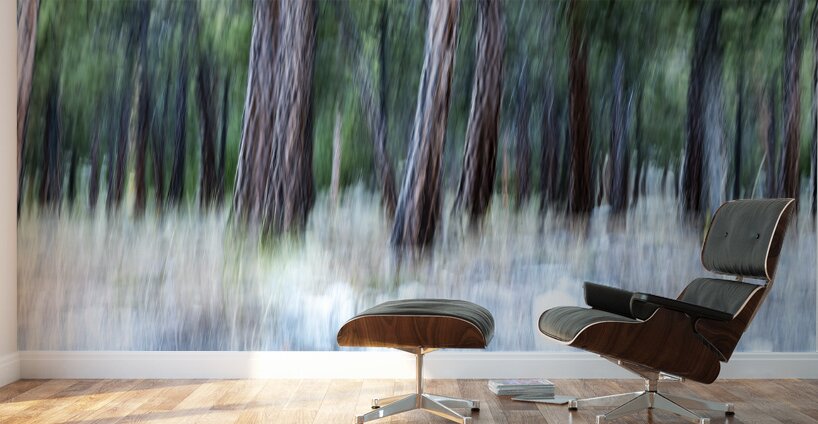 ICM forest Monck Park Nicola Valley B.C Wall Murals