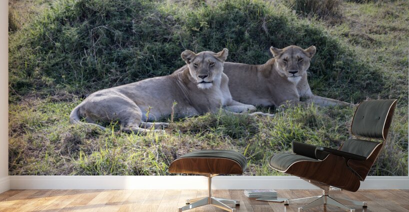 Ashnil Masai Mara Wall Murals