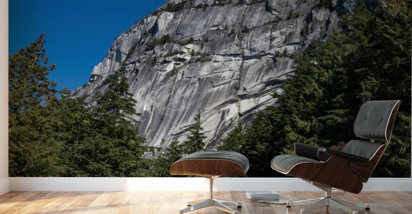 Squamish chief Wall Murals