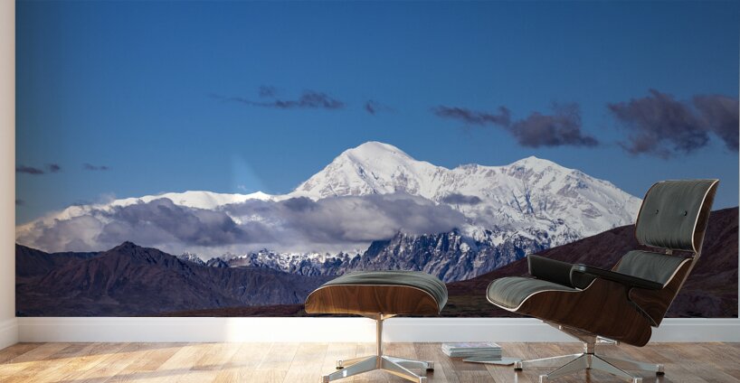 Mt.Denali  Wall Murals