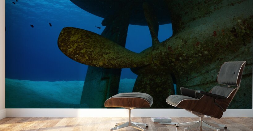 USS Kittiwake Grand Cayman Islands Wall Murals