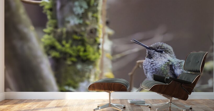 Anns hummingbird perched on a branch Wall Murals