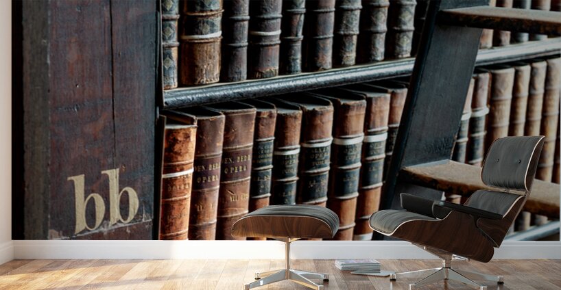 The Book of Kells Dublin Ireland Wall Murals