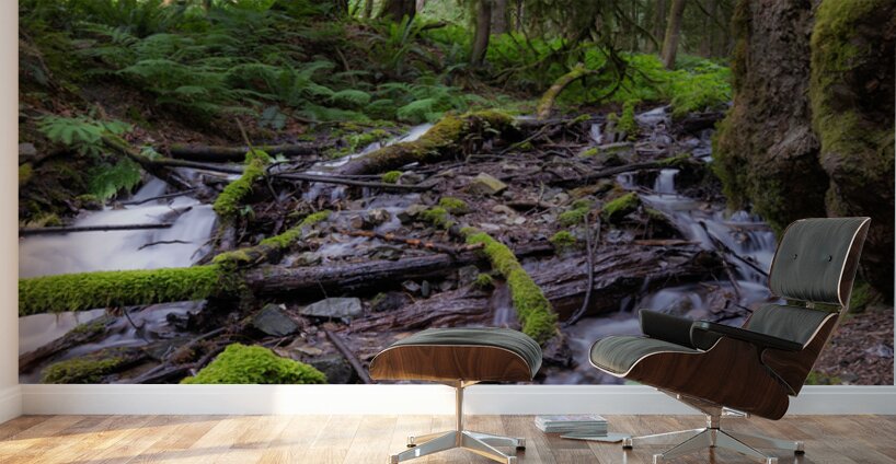 Bridal falls British Columbia creek 2 Wall Murals