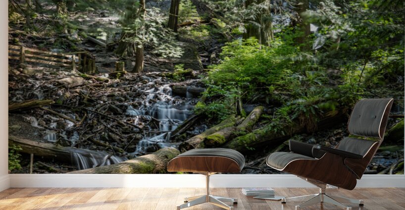 Stream at Bridal Falls Wall Murals