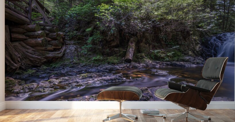 Rolley Lake falls Mission British Columbia 3 Wall Murals