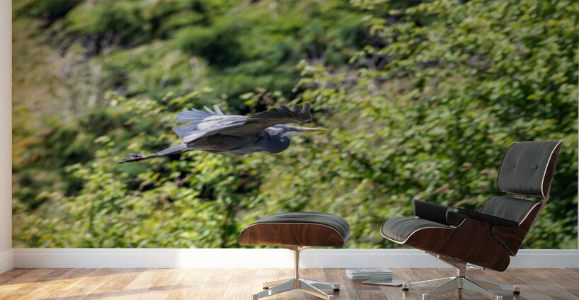 rifel bird sanctuary 2 Wall Murals