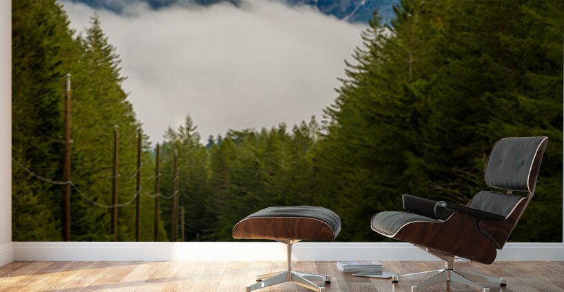 Chilliwack Lake Road British Columbia Wall Murals