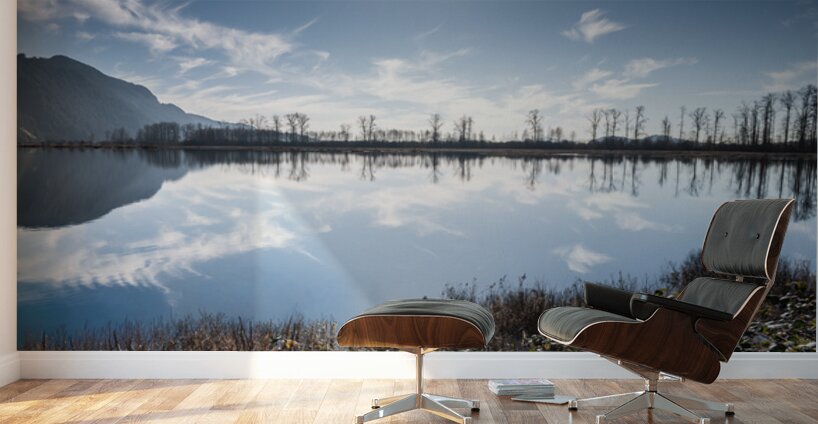 Pitt Lake British Columbia Wall Murals