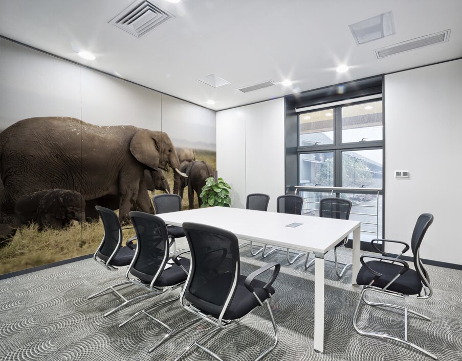African elephants Amboseli National Park Kenya Wall Printing