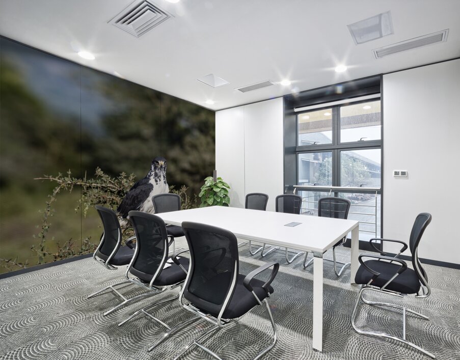 Augur Buzzard Lake Nakuru Lodge Africa  Wall Printing