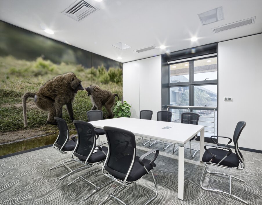 Baboons Lake Nakuru kenya Wall Printing