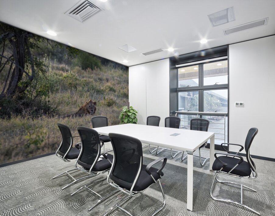 Lion Lake Nakuru kenya Wall Printing