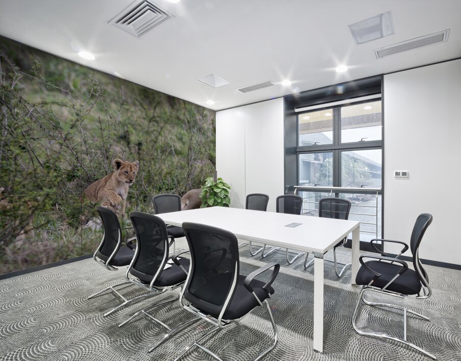 Lion cub masai mara Wall Printing