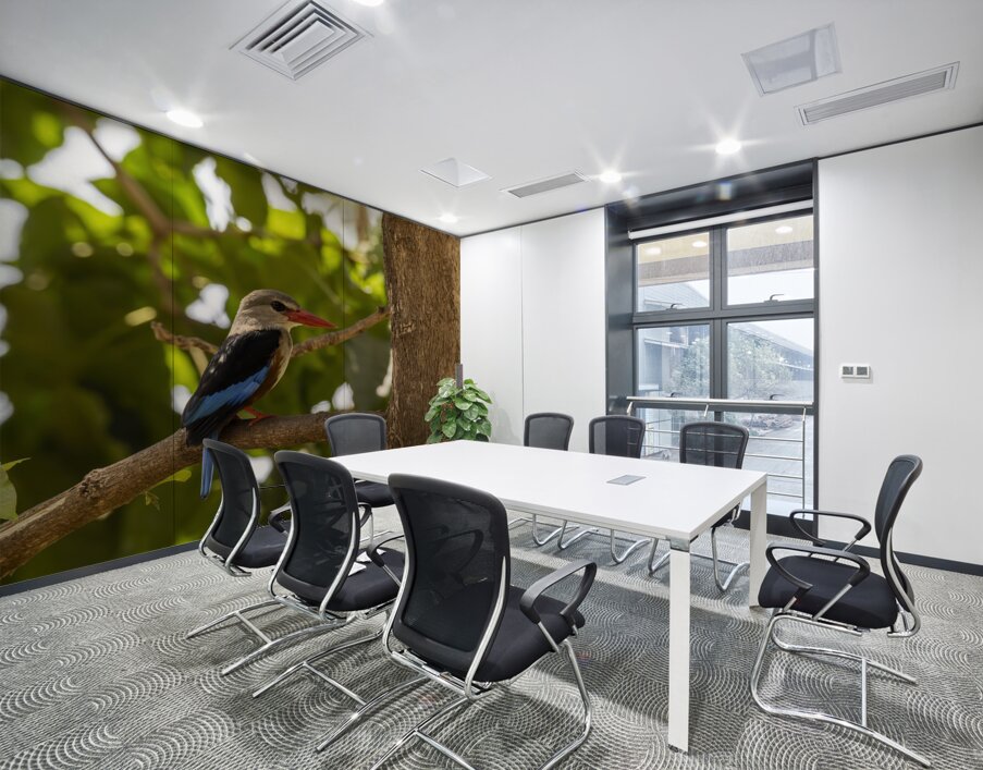 Grey headed kingfisher Amboseli National Park Kenya Wall Printing