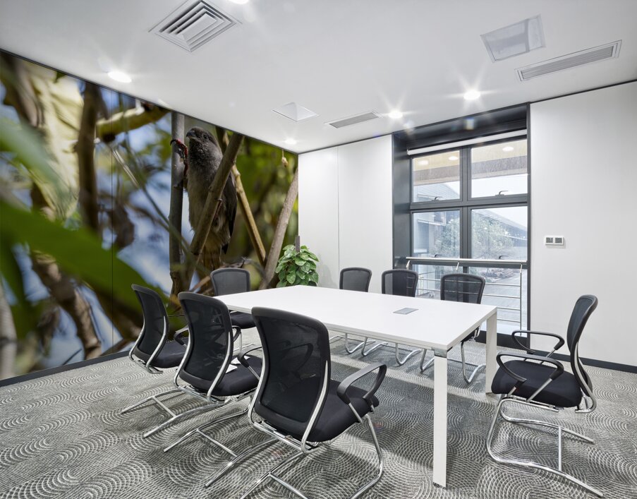 Speckled mousebird Sweetwaters kenya Wall Printing