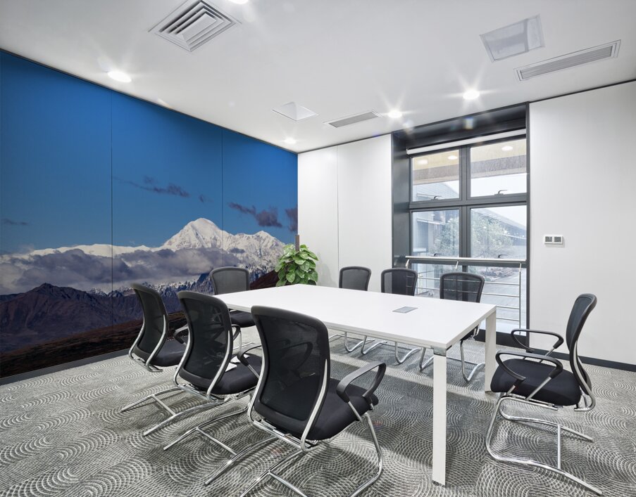 Mt.Denali  Wall Printing