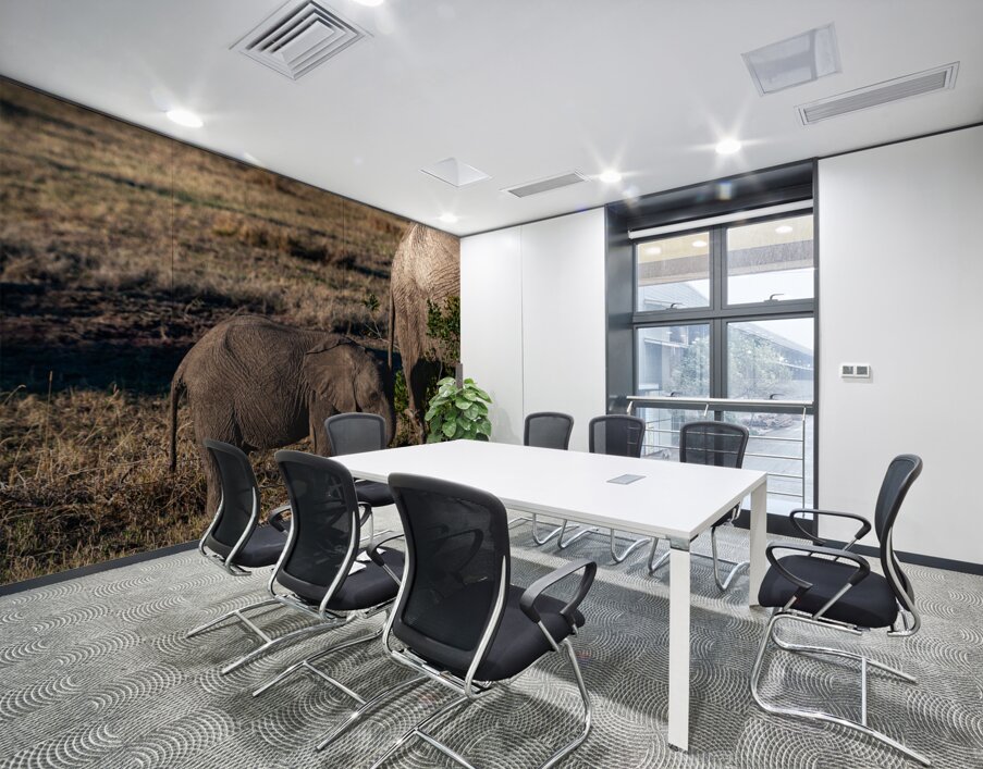 African elephant Wall Printing