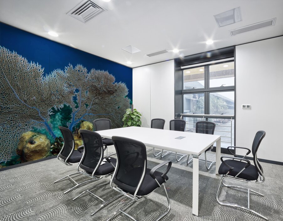 Fan coral Wall Printing