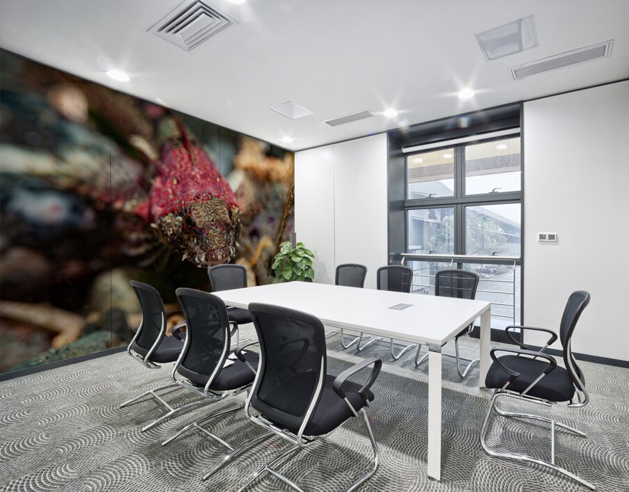 Scalyhead sculpin Keystone jetty Washington state  Wall Printing