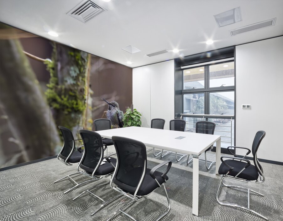 Anns hummingbird perched on a branch Wall Printing