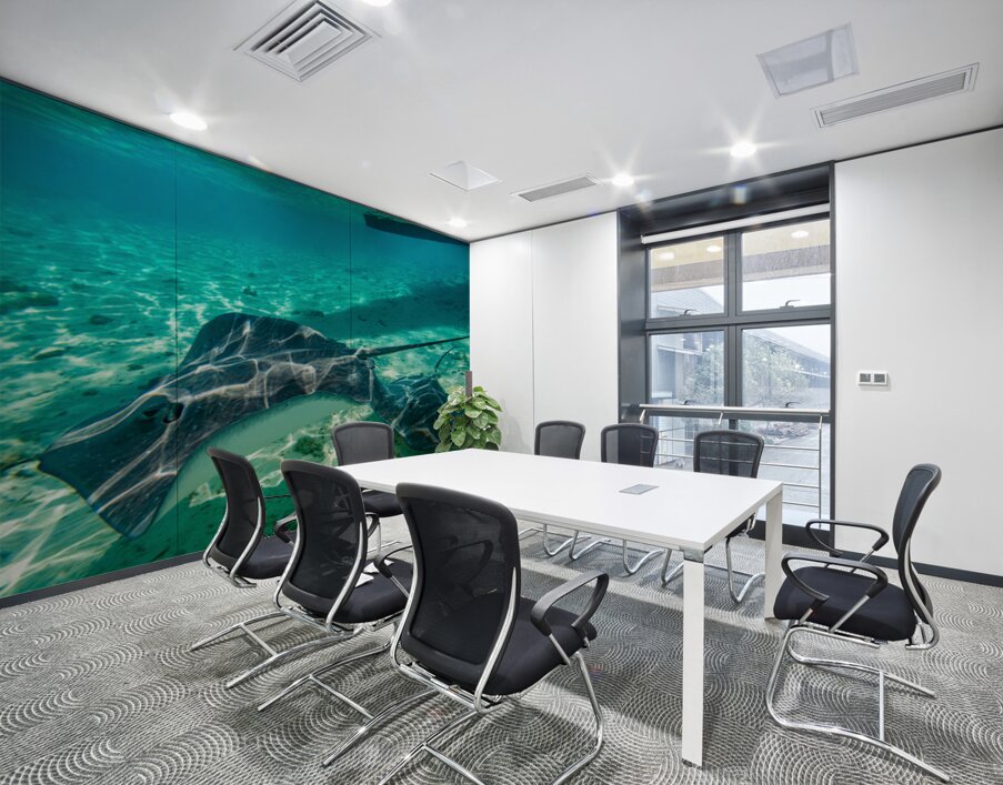 Sting rays Wall Printing