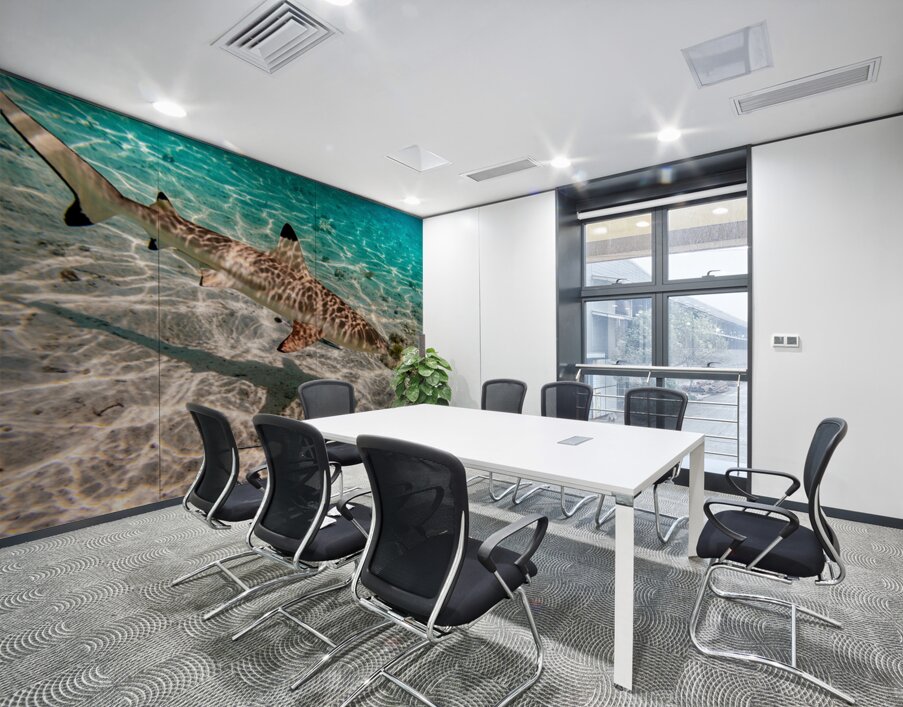 Black Tip Shark 3 Wall Printing