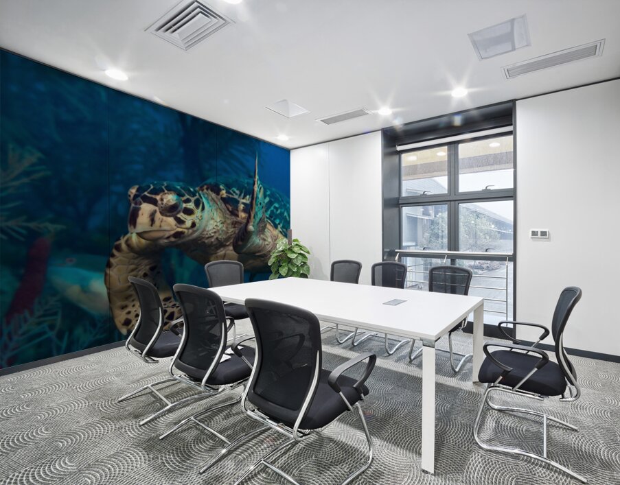 Hawksbilled turtle  Wall Printing