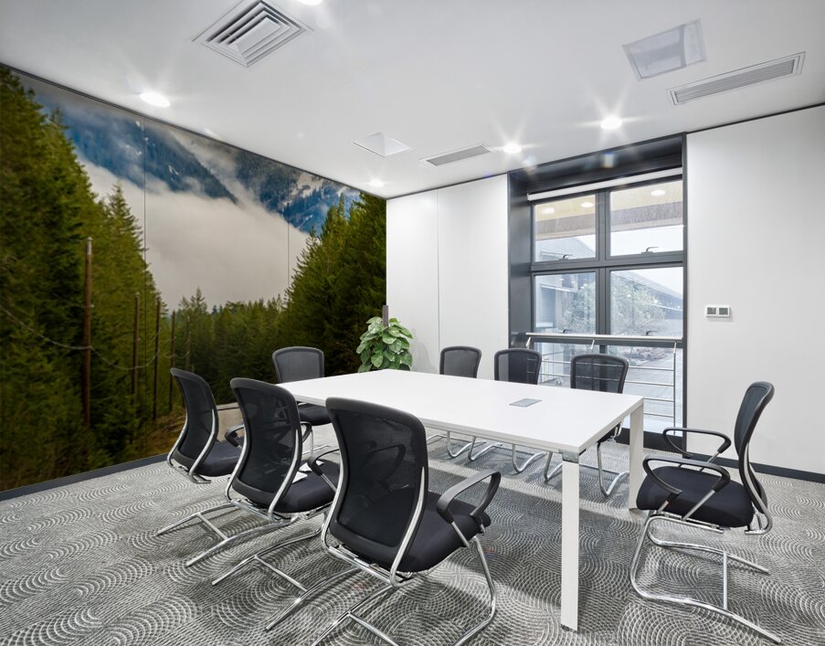 Chilliwack Lake Road British Columbia Wall Printing