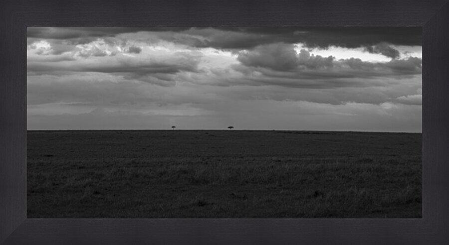 Ashnil Masai Mara Picture Frame print