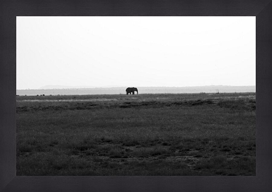 Elephant Amboseli National Park Kenya Picture Frame print