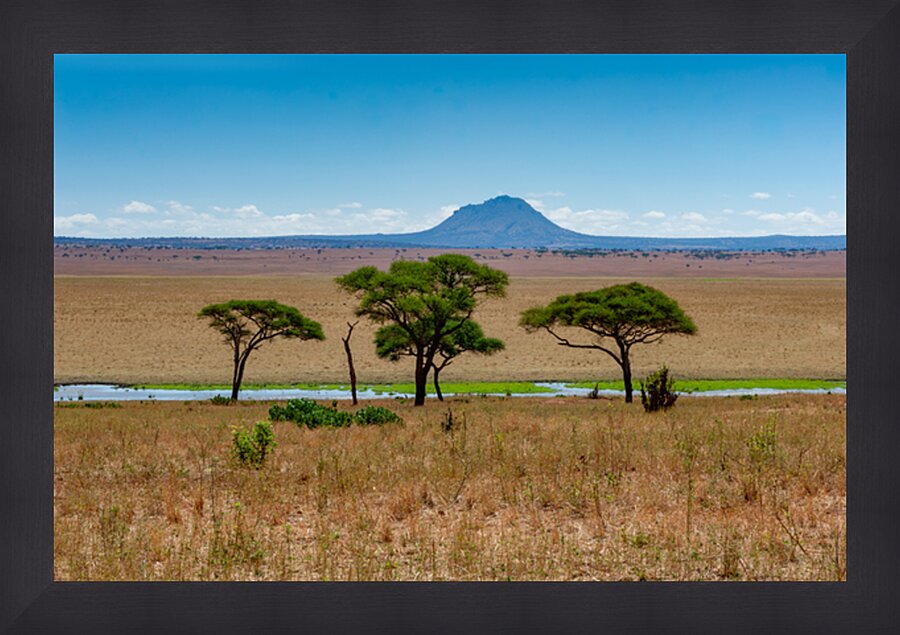 Tarangire National Park Tanzania Africa Picture Frame print