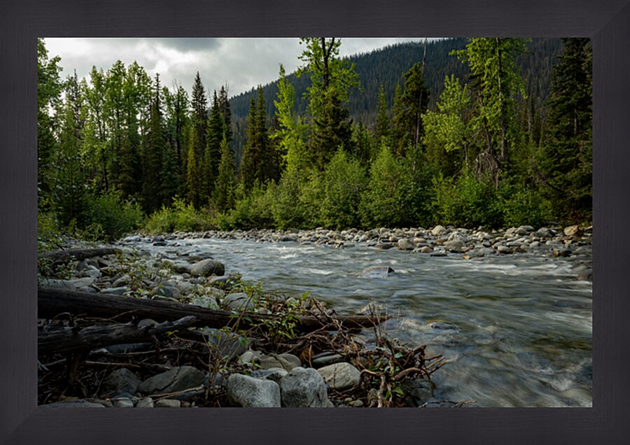 Cambie Creek E.C. Manning Provincial Park B.C Picture Frame print