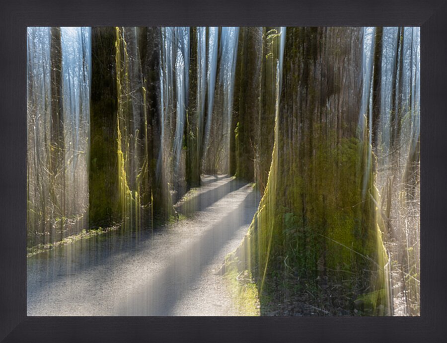 Brae Island ICM Picture Frame print